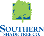 Southern Shade Tree